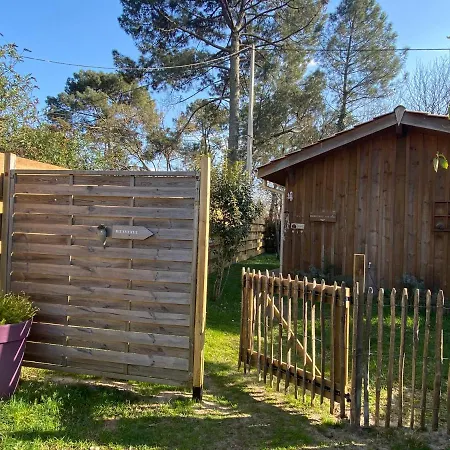 Escale Sous Les Pins Villa Salles  Exterior photo