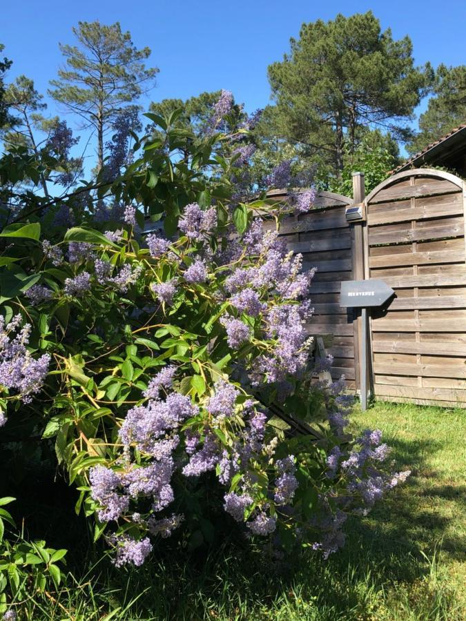 Escale Sous Les Pins Holiday home